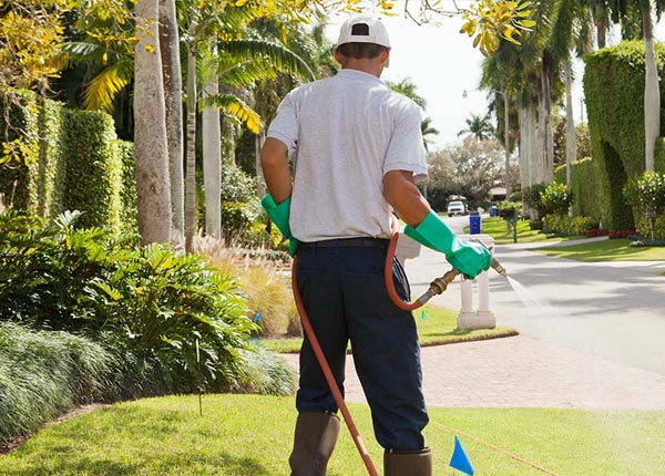 About Mineral WA Pest Control